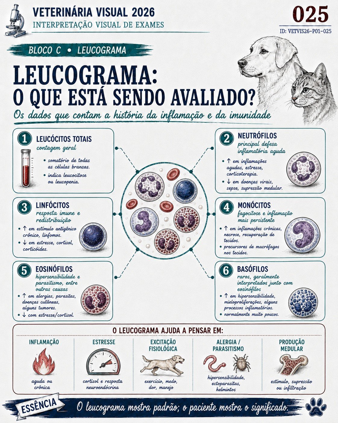 Leucograma veterinário