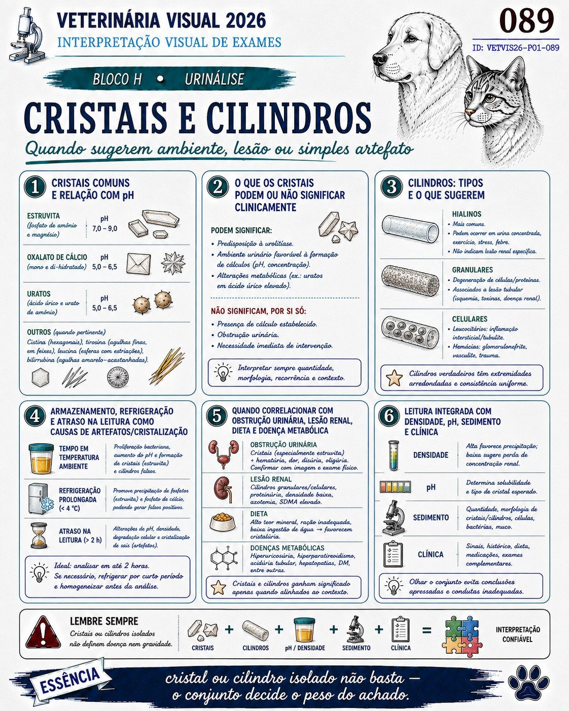 Cristais e cilindros